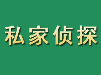 细河市私家正规侦探